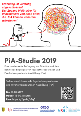 PiA-Studie Flyer